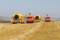 В Украине будет рекордный урожай В Украине будет рекордный урожай