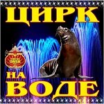 в